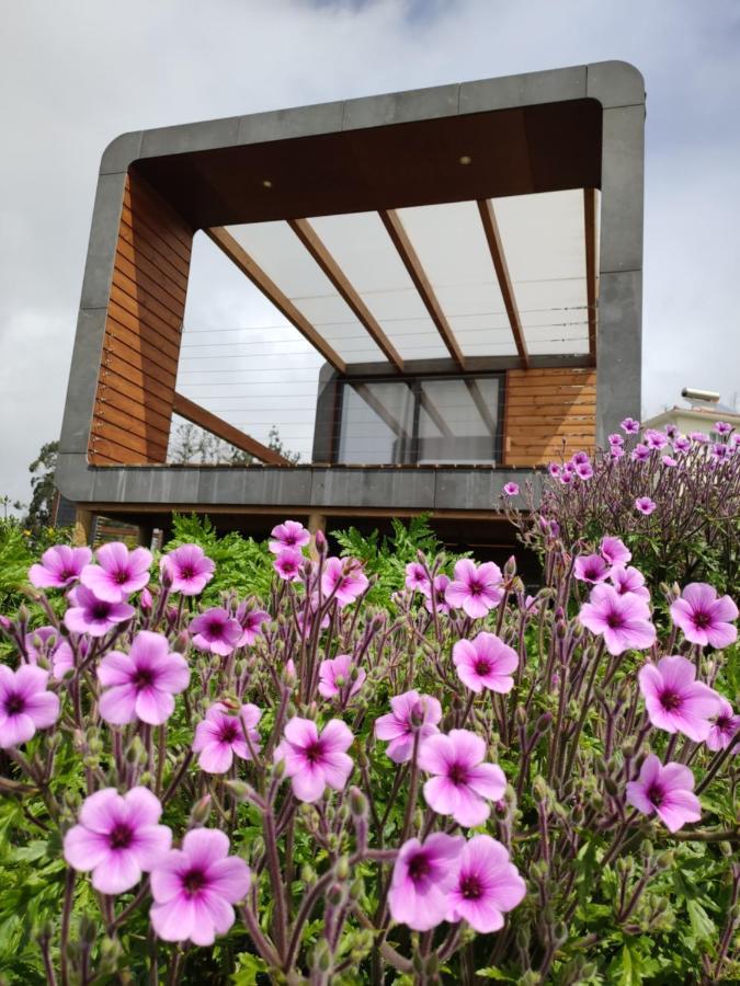 Calheta Glamping Pods - Nature Retreat Dış mekan fotoğraf